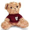 Brown Teddy Bear 25cm with Maroon T-shirt