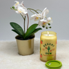 DW Home Desert Dew&nbsp;Candle