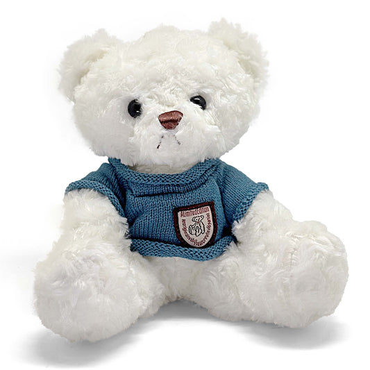 White Teddy Bear 25cm with Navy Teal T-shirt