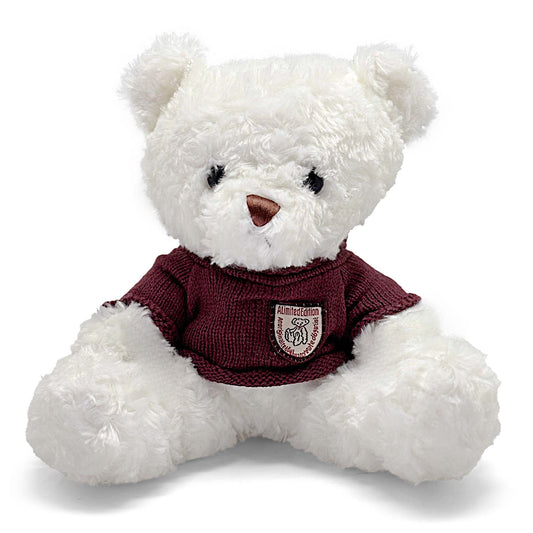 White Teddy Bear 25cm with Maroon T-shirt