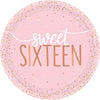 Sixteen Blush Round Metallic Plates (10 Inches)